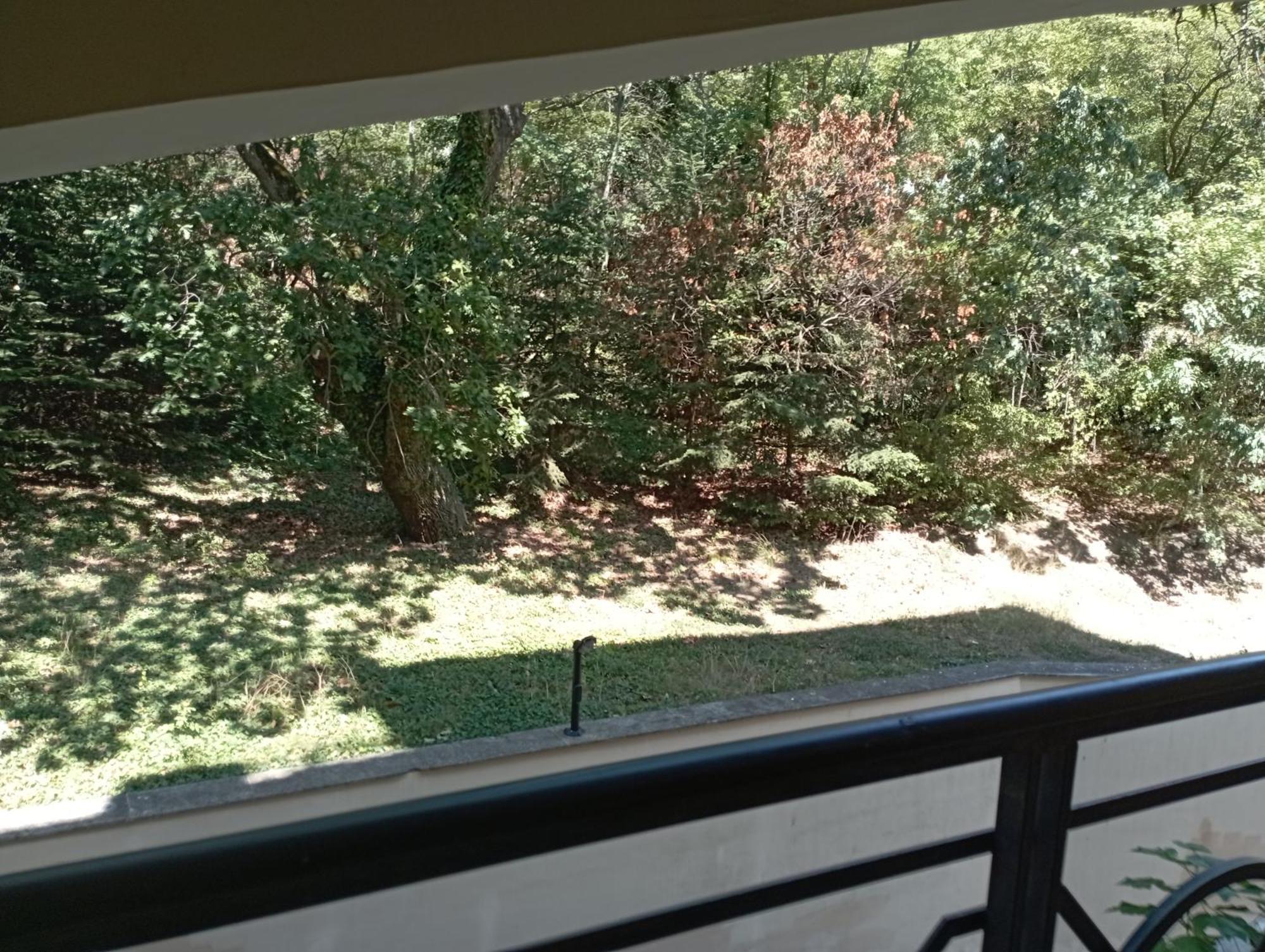 Apartment Golden Sands Rentals Apartments *